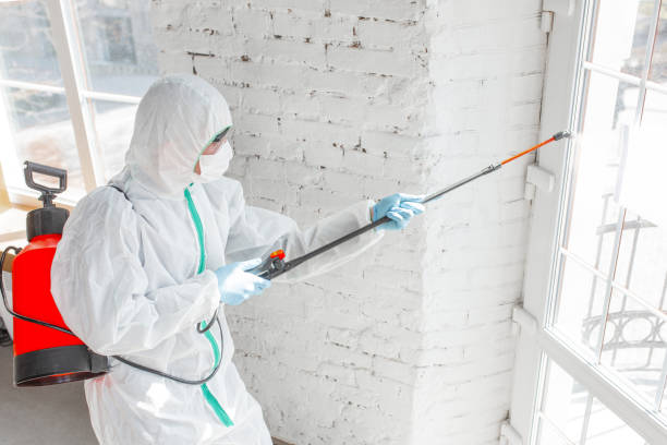 Best Forensic Mold Investigation  in Nd Lake, WI