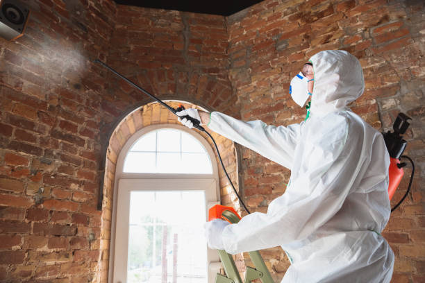 Asbestos and Lead Testing During Mold Inspection in Wind Lake, WI